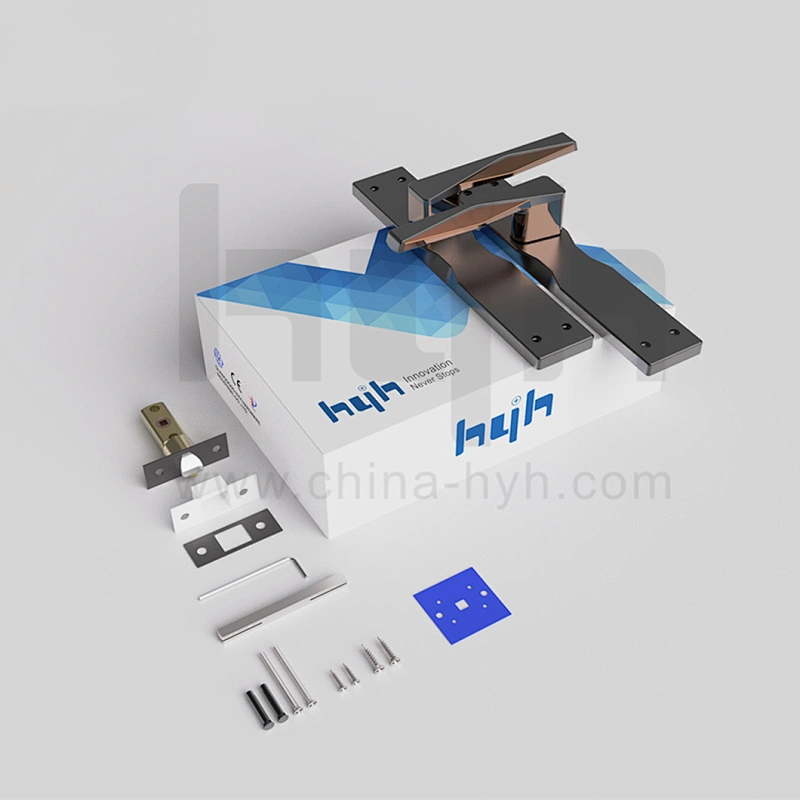 Patent Design Elegant Zinc Alloy Passage Door Security Lock